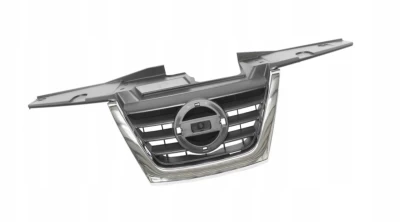 Radiator grille Nissan Juke 2010-2015, centre, black, with chrome moulding, AVTM, 185025990