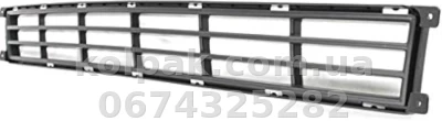 Решітка бампера Kia Carnival 2006-2013, середня, чорна, AVTM, OE865614D000, 184011910