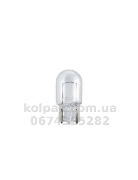 Car bulb W21W Standard 12V 21W W3x16d (1 pc) Car bulb W21W Standard 12V 21W W3x16d (1 pc) β photo 1
