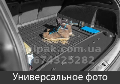 Boot mat for Lexus GS 2005-2010, hybrid, Pro-Line, Frogum FG TM414709 — photo 2