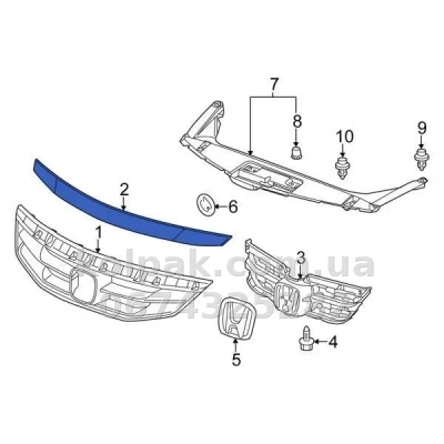 Решітка радіатора Honda Accord 8 Coupe 2011-2012, USA, зовнішня, AVTM, 183024992 — фото 2