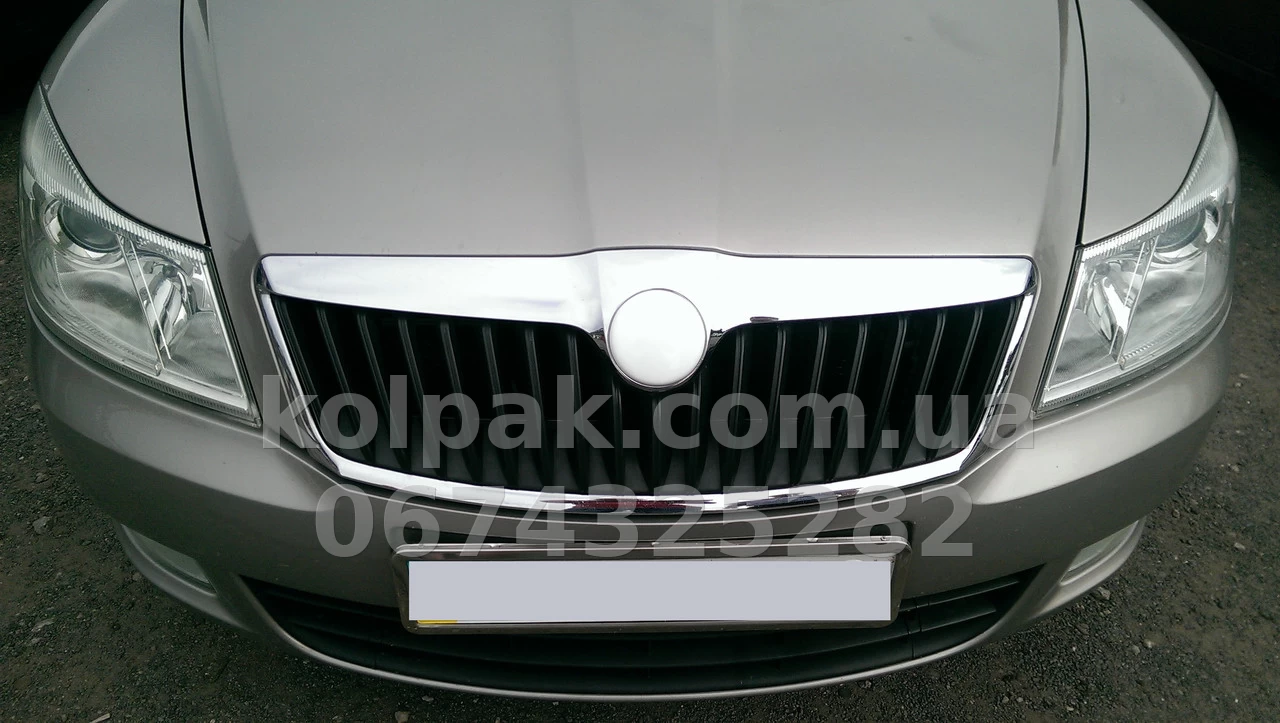 Trim front emblem Skoda Octavia A5 2004-2013 AutoPlast SOBP2004 Trim front emblem Skoda Octavia A5 2004-2013 AutoPlast SOBP2004 β photo 1
