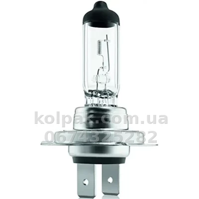 Car bulb H7 Pure Light 12V 55W PX26d (set 2 pcs) — photo 2