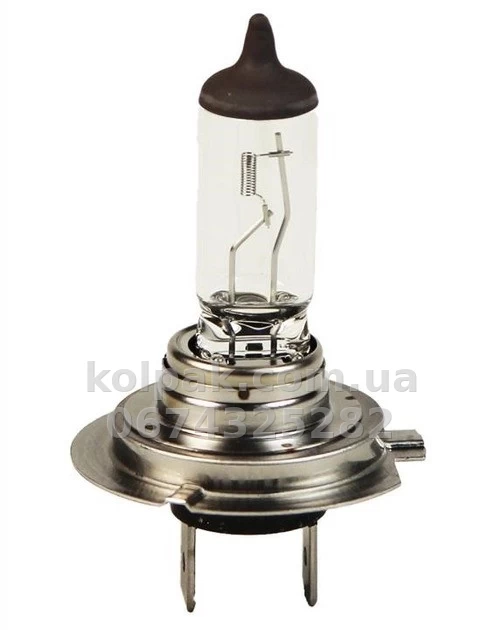 Car bulb H7 Longlife Daytime 12V 55W PX26d (1 pc) Car bulb H7 Longlife Daytime 12V 55W PX26d (1 pc) β photo 1